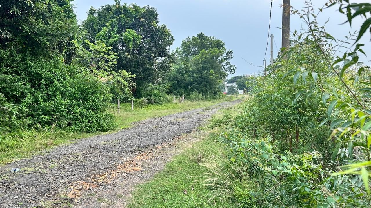 Residential land listed near Sriniketan and Santiniketan